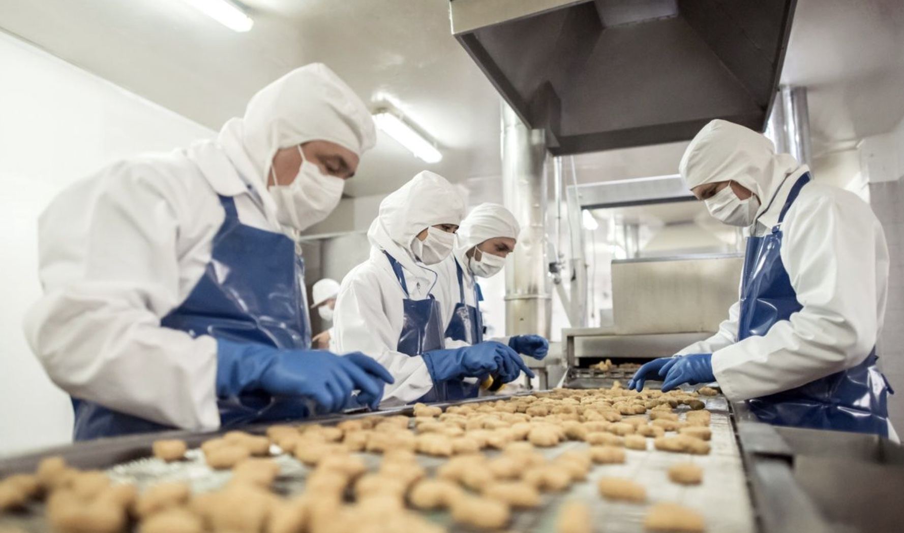 Steam-heated cooking and sterilizing equipment in a Philippine food manufacturing plant