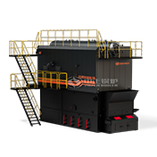 Biomass-fired Boilers