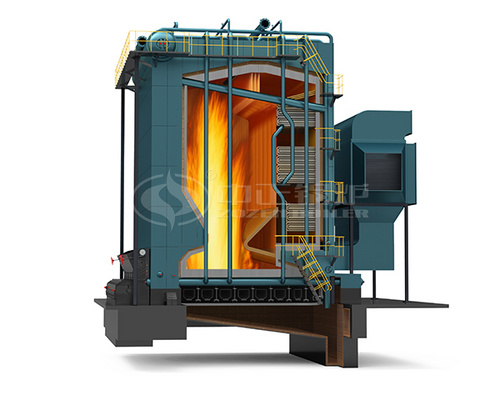 DHL Series Biomass Steam Boiler