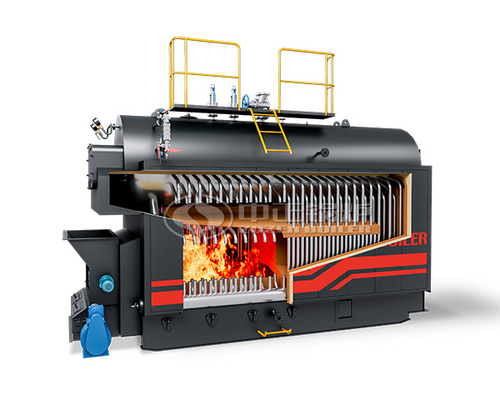 DZL Series Biomass Hot Water Boiler